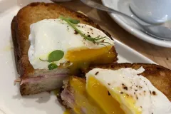 brunch