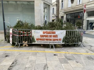 point de collecte de sapin