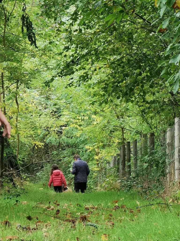 randonnées en périgord vert