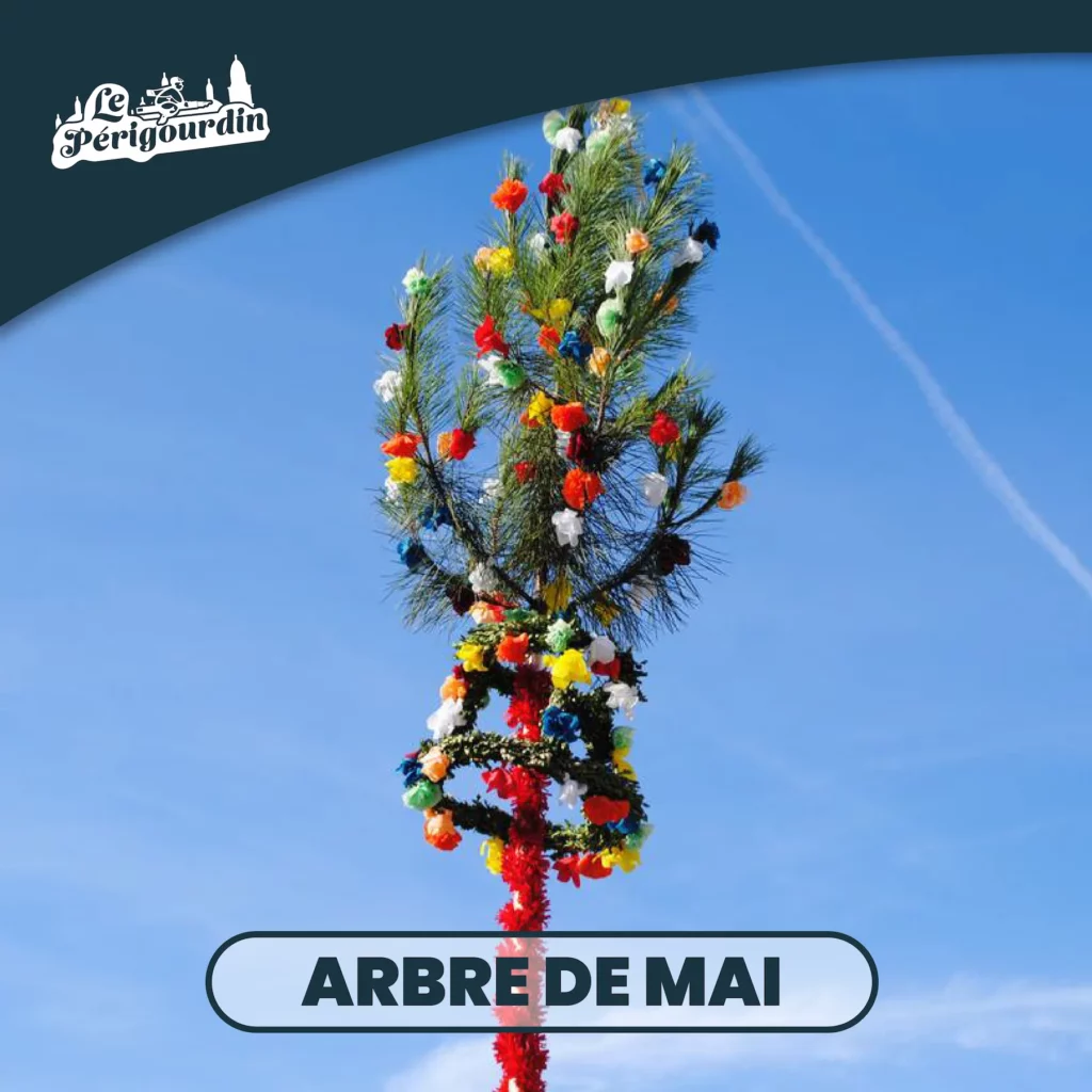 Arbre de Mai