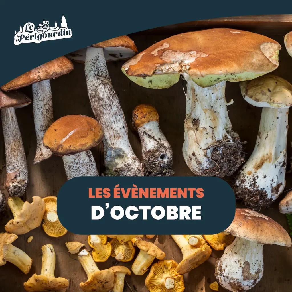 evenements octobre 2023