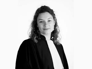 Alice Delaire Avocat place picture