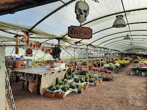 AU RYTHME DES SAISONS / Rapnouil Stéphane place picture