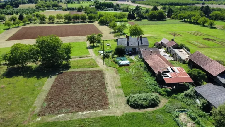 1662549068440 copie 768x432