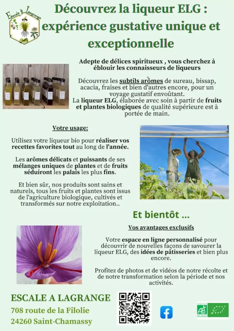 LIQUEURS copie 768x1086