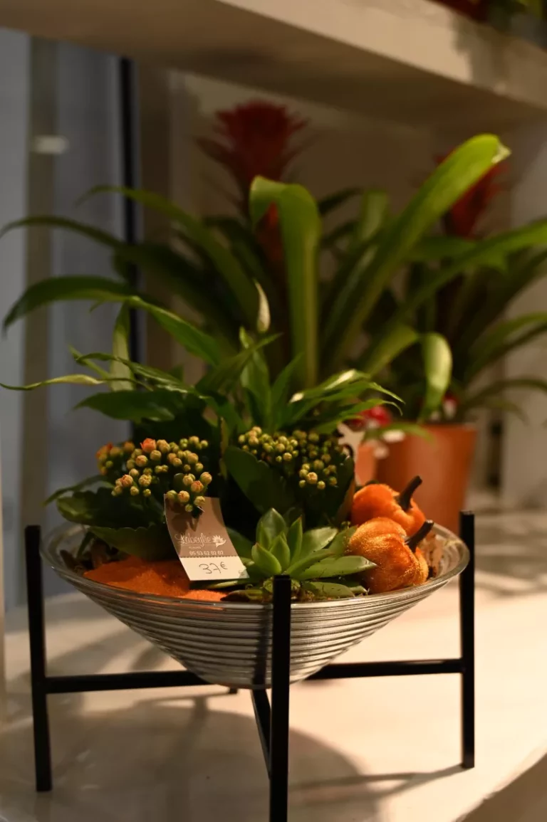 Labeylie fleur compositions table 768x1155