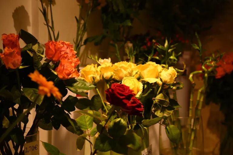 Labeylie fleur rose 768x511