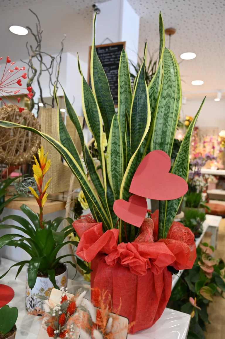 Labeylie fleur thiviers composition coeur 768x1154