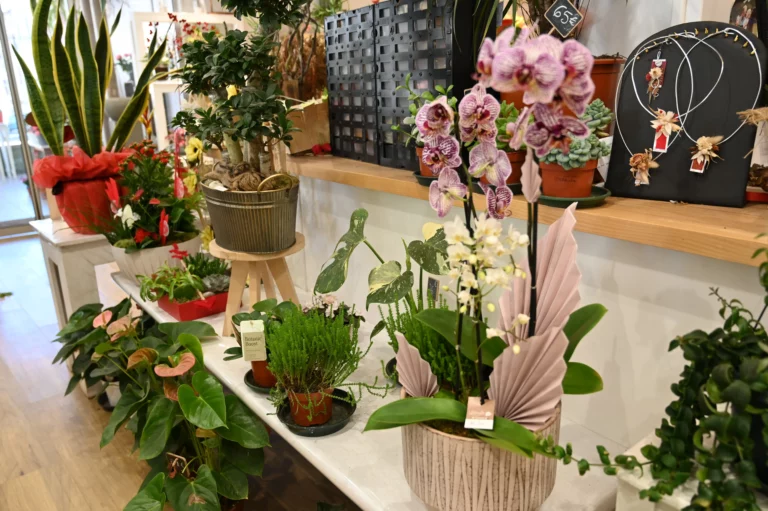 Labeylie fleur thiviers magasin 768x511