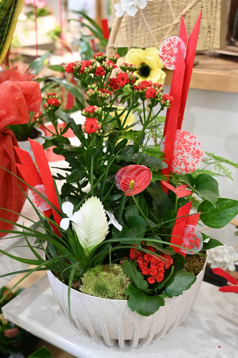 Labeylie fleur thiviers offrir 768x1154
