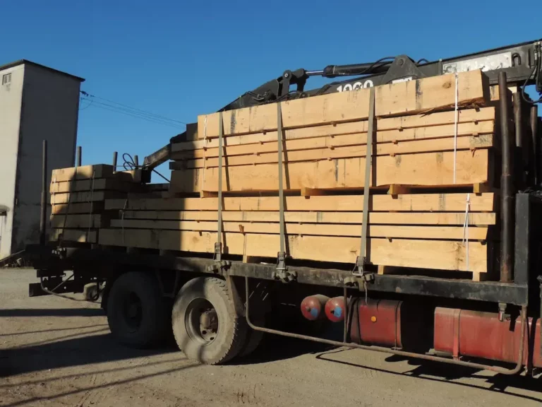 aux bois du perigord vert 1 768x576