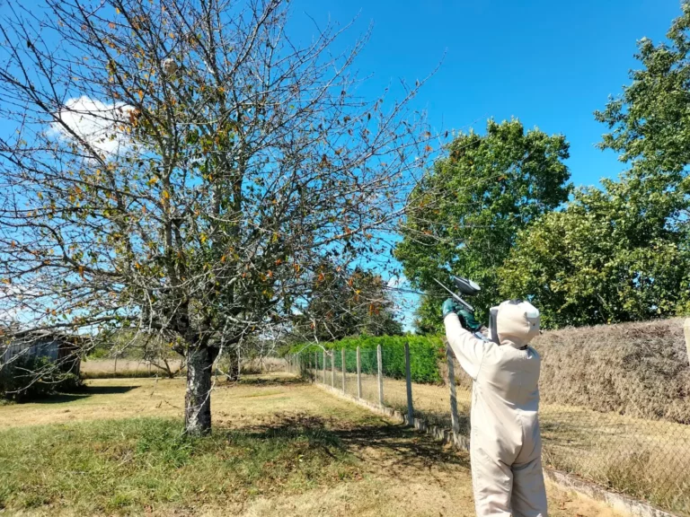 dordogne urgence frelon intervention dordogne 768x576