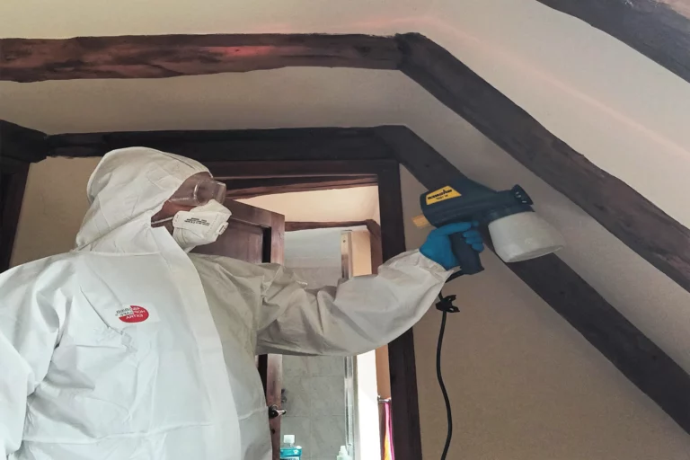 dordogne urgence frelon traitement termite 768x512