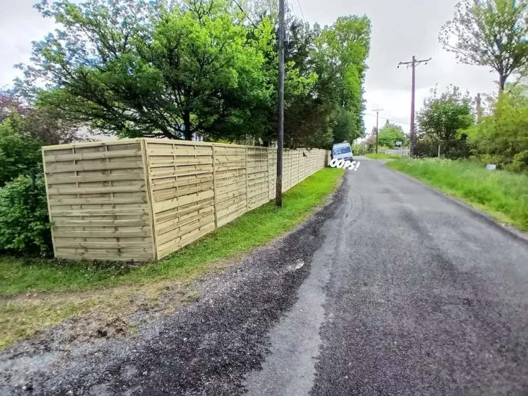 service freddy 768x576