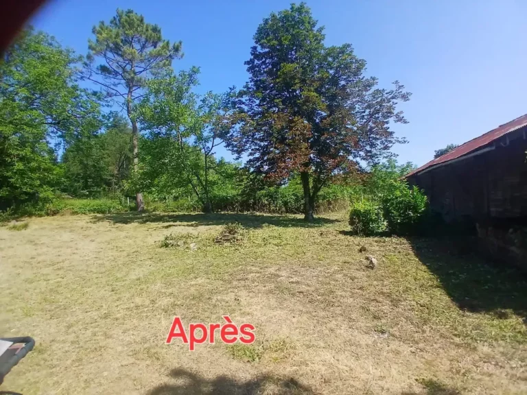 service freddy jardin3 768x576