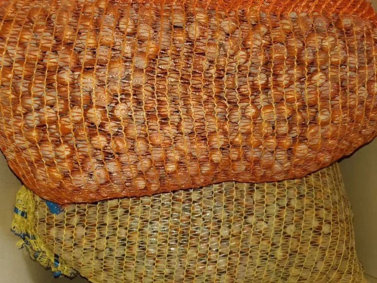 service freddy noisette 768x576