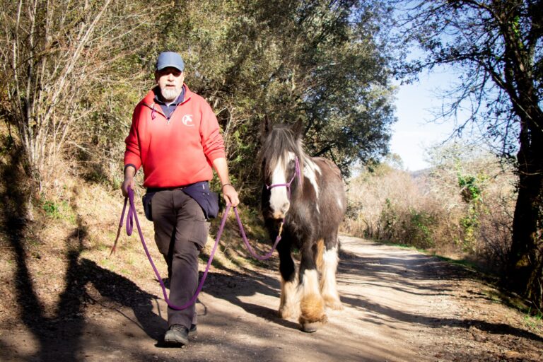 Claude lheureux danse avec lui 1 768x512