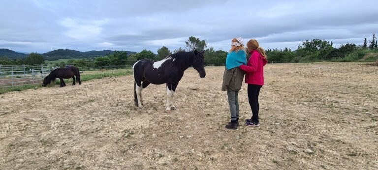 Claude lheureux danse avec lui 3 768x346