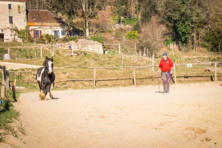 Claude lheureux danse avec lui 4 768x512
