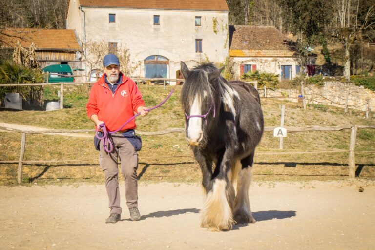 Claude lheureux danse avec lui 5 768x512