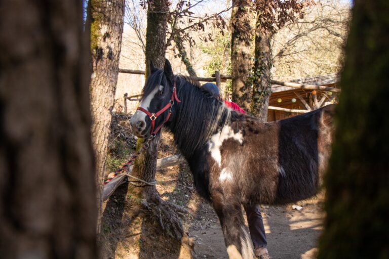 Claude lheureux danse avec lui 6 768x512