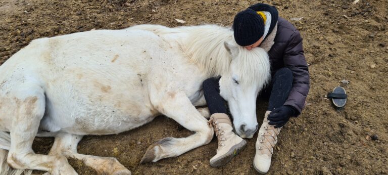 Claude lheureux danse avec lui cheval 768x346