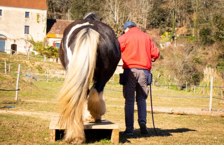 Claude lheureux danse avec lui cheval3 768x497