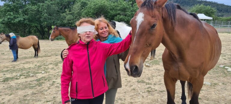 Claude lheureux danse avec lui equi coaching 768x346