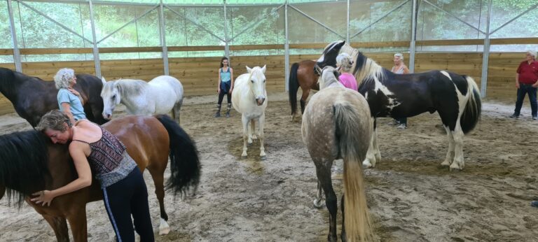 Claude lheureux danse avec lui formation 768x346