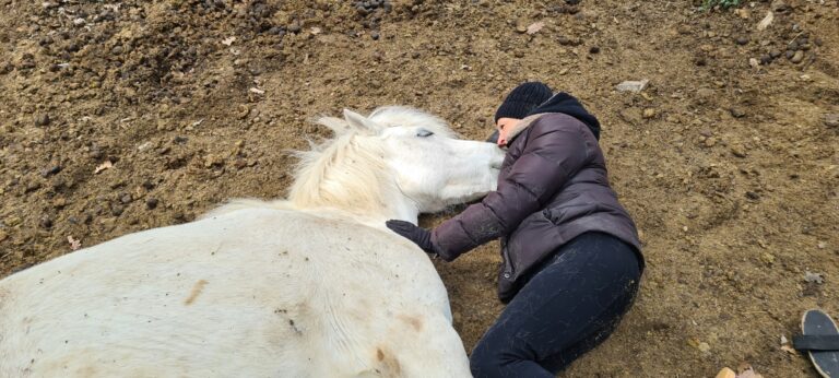 Claude lheureux danse avec lui therapie 768x346