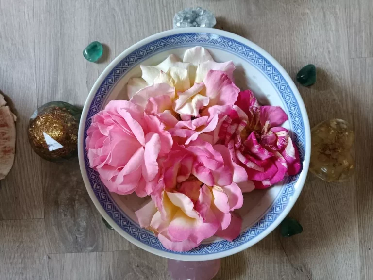 La Messagere Voyageuse Enchanteresse des Mondes 9 768x577