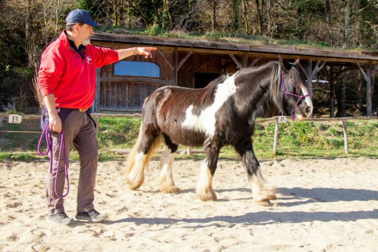 MG 4481 scaled 1 768x512
