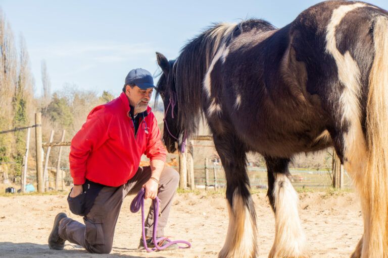 MG 4541 scaled 1 768x512