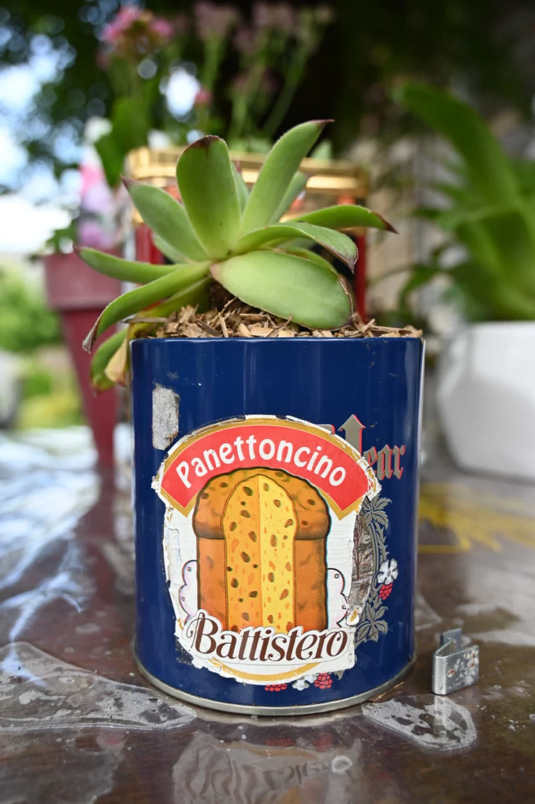 association arteec recyclerie marsac dordogne atelier jardinage 1 768x1154