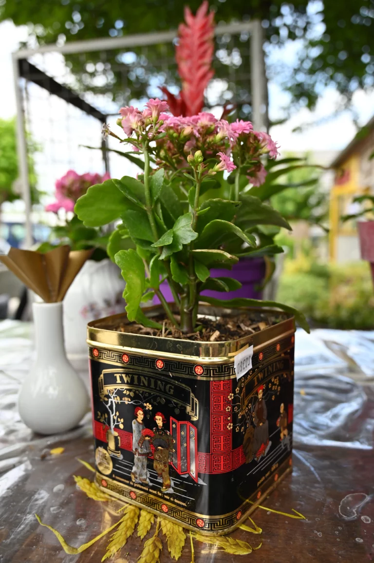 association arteec recyclerie marsac dordogne atelier jardinage 2 768x1154