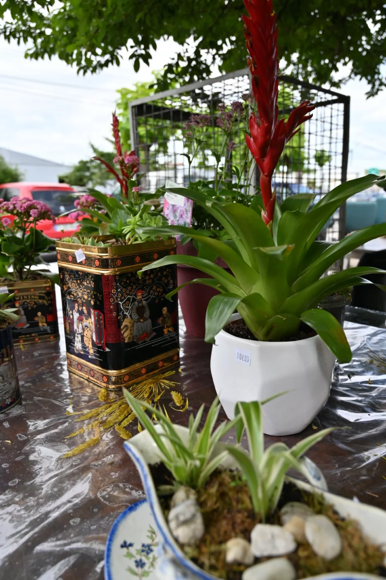 association arteec recyclerie marsac dordogne atelier jardinage 3 768x1154