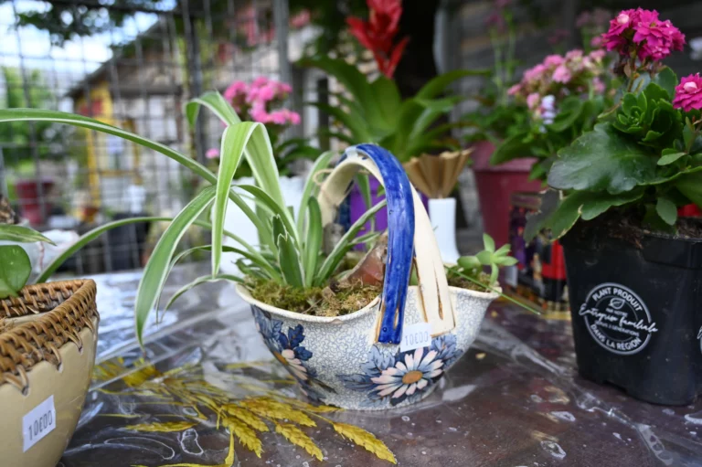 association arteec recyclerie marsac dordogne atelier jardinage 4 768x511