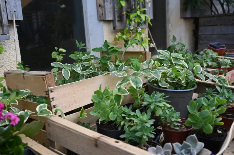 association arteec recyclerie marsac dordogne atelier jardinage 5 768x511