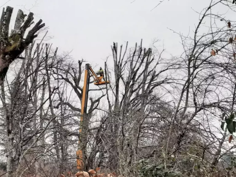 au rythme des saisons paysagiste 768x576