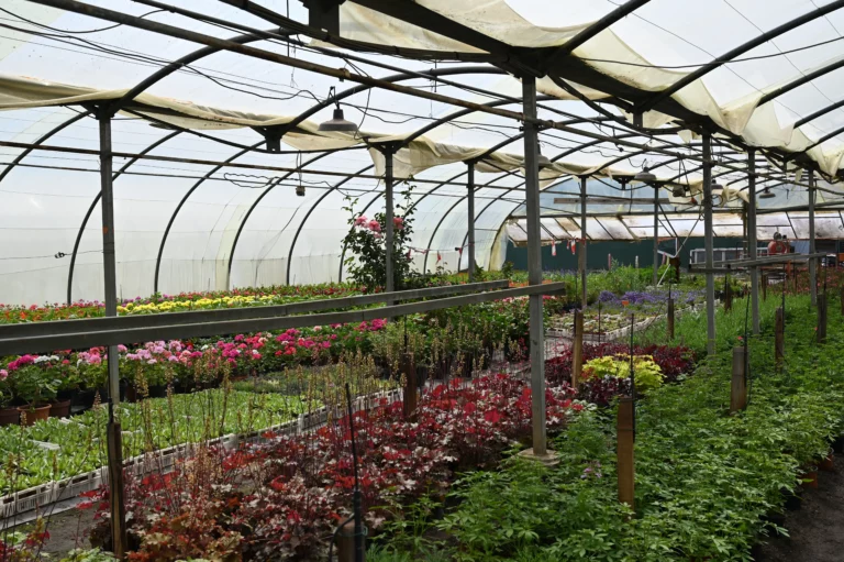 au rythme des saisons serre Antonne 768x511