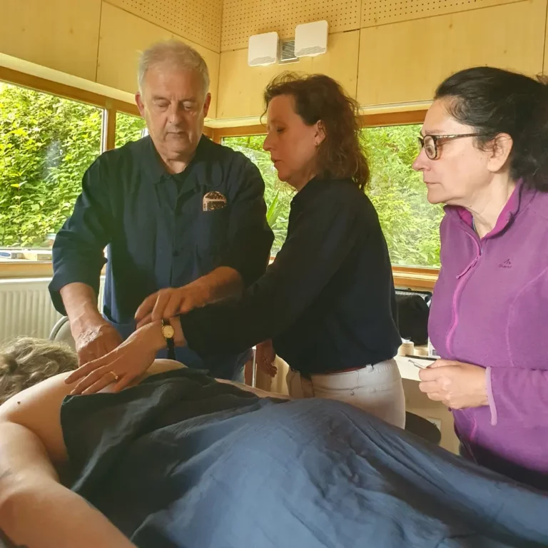 centre imhotep acupuncture 2 768x768