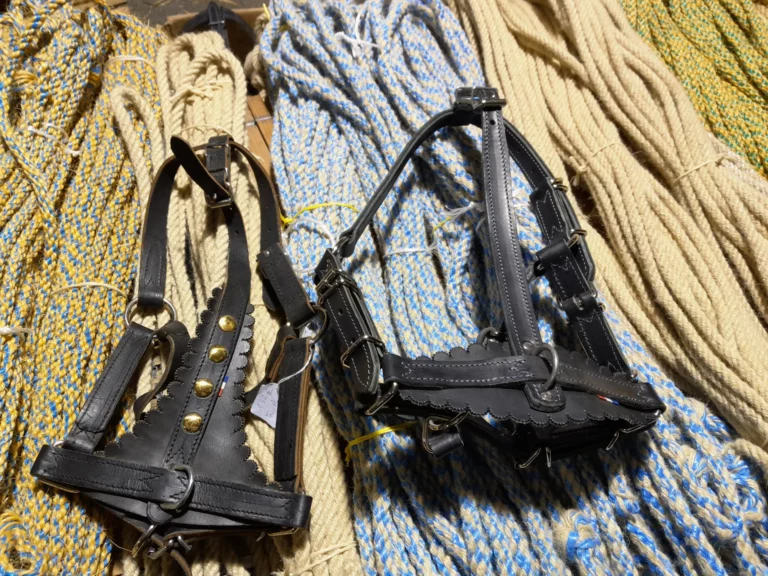 licol cuir corderie bocquier dordogne 1 768x576