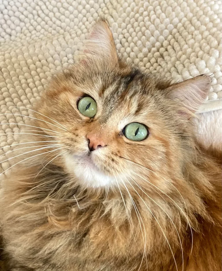 Eveil des Sens Nala 768x934