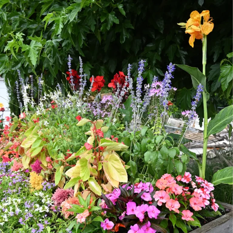 au rythme des couscous fleurs 10 768x768