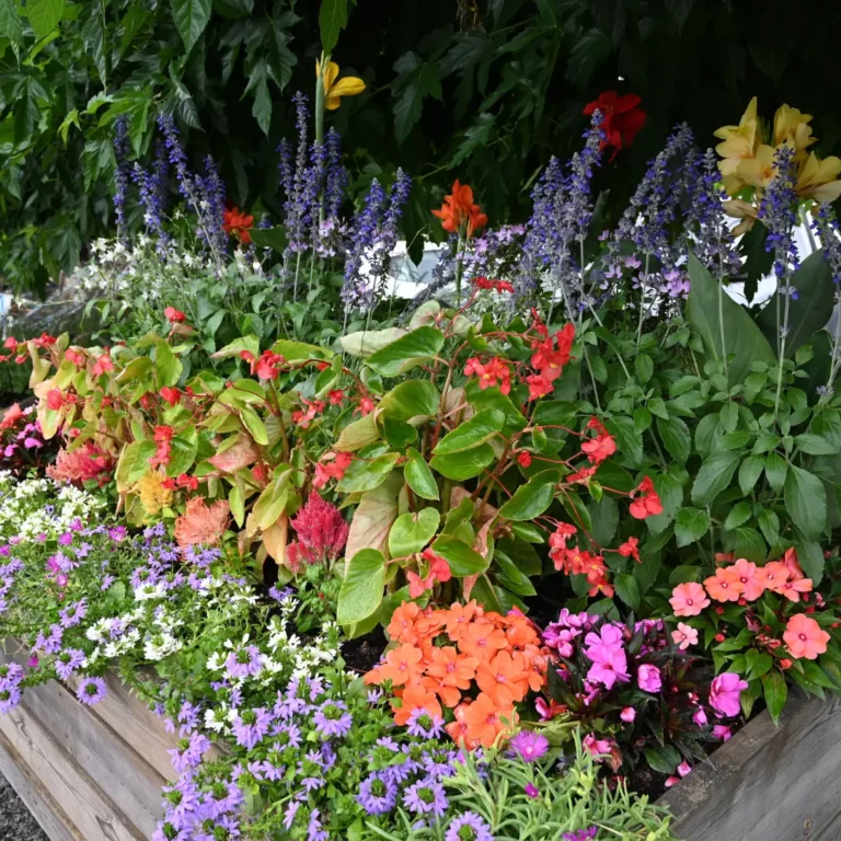 au rythme des couscous fleurs 9 768x768