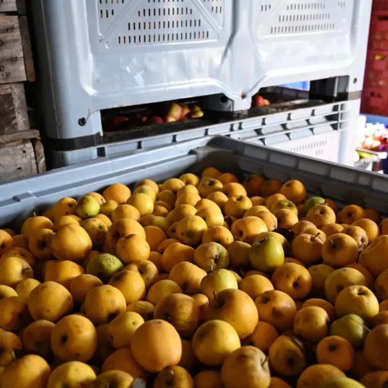 La ferme saint etienne firbeix Jus de fruits bio 1 768x768