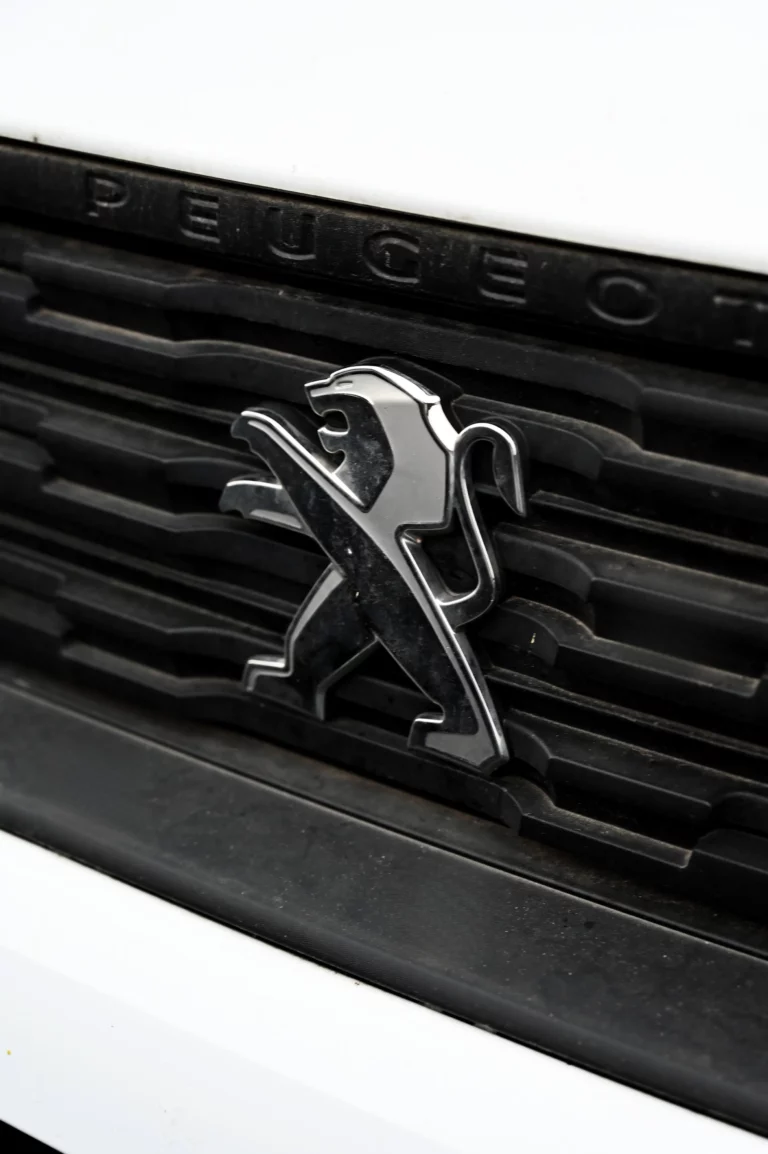 ewigo perigueux agence automobile logo 3 768x1154