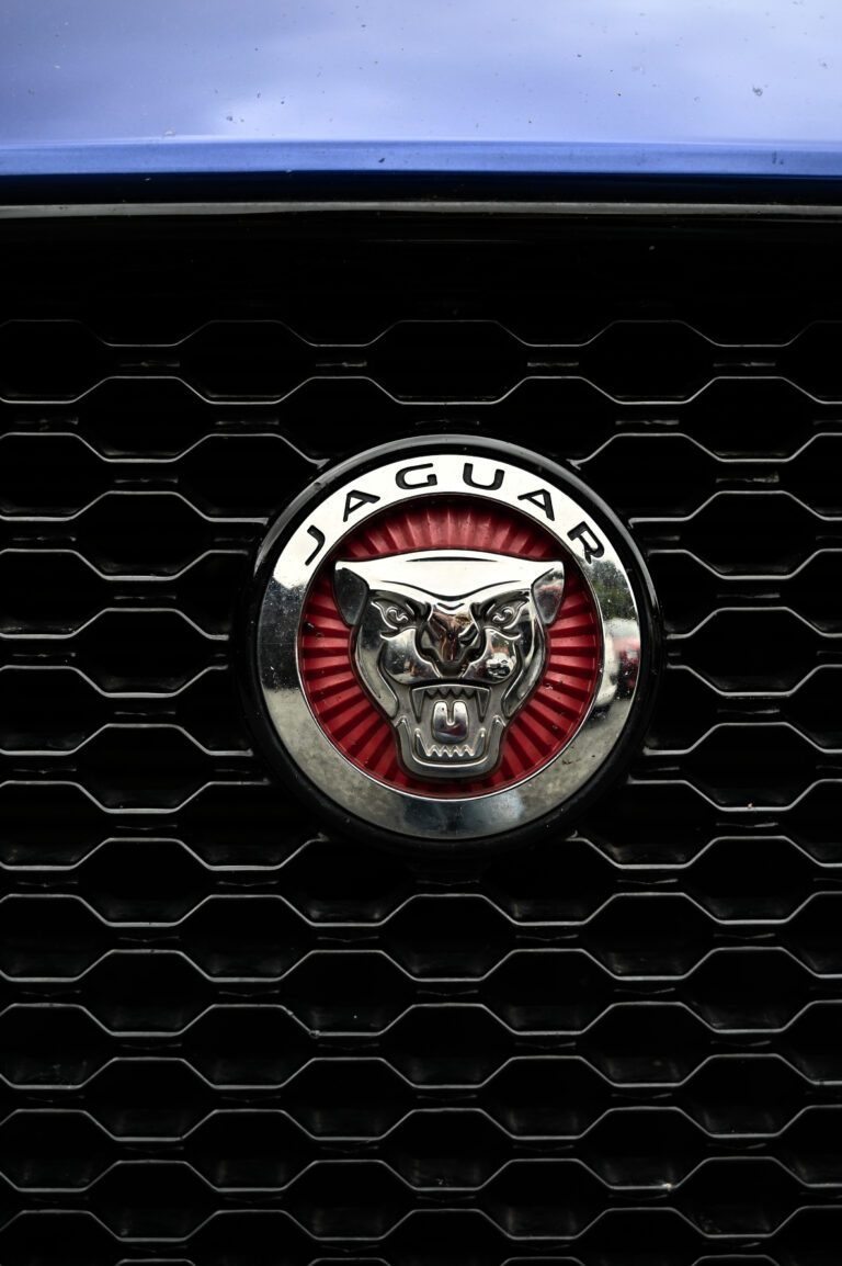 ewigo perigueux agence automobile logo 6 768x1154