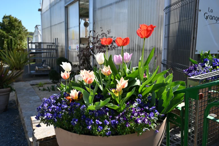 la grange fleurie la coquille horticulteur 11 768x511