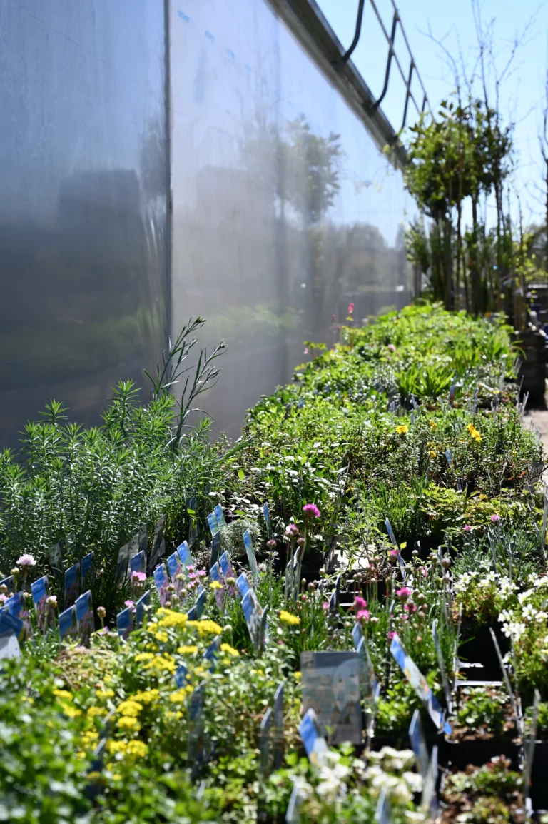 la grange fleurie la coquille horticulteur 14 768x1154